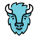 BISON Review