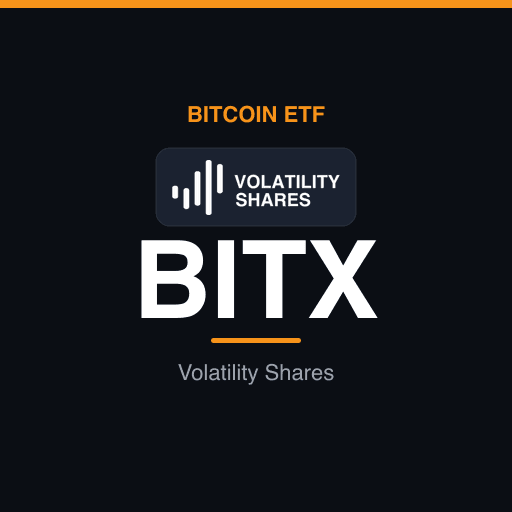 BITX — 2x Bitcoin Strategy ETF