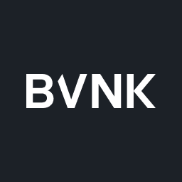 BVNK Review