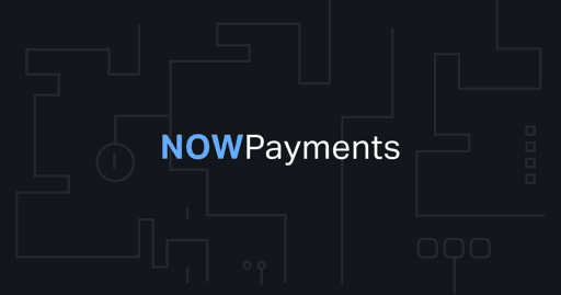 NOWPayments Review