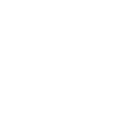 Ledger