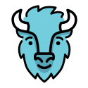 BISON Review