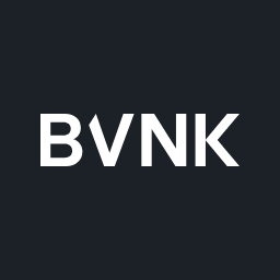 BVNK Review